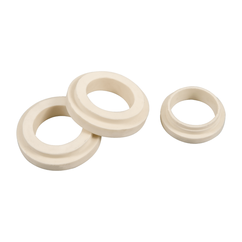 Ceramic Seal Ring